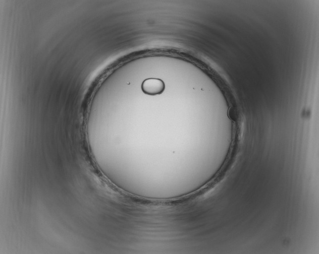 X0000110941021200906191045