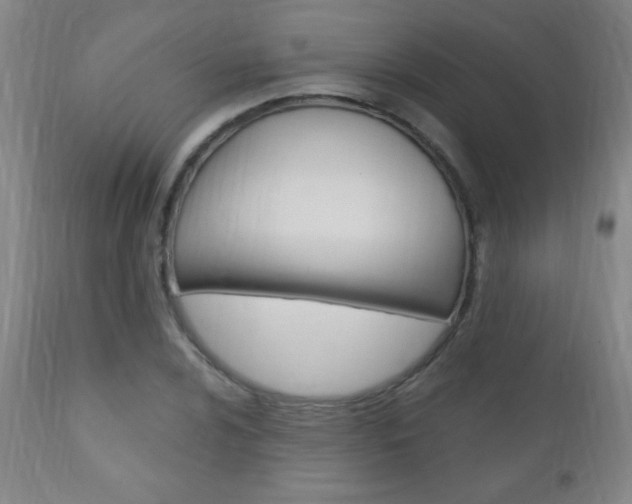 X0000110941024200906191045
