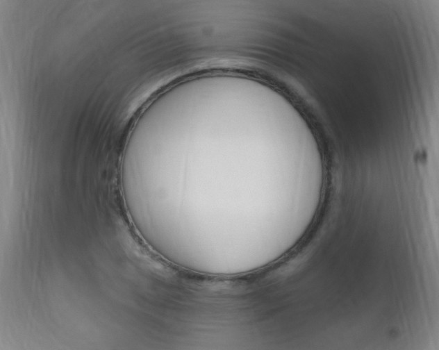 X0000110941025200906191045