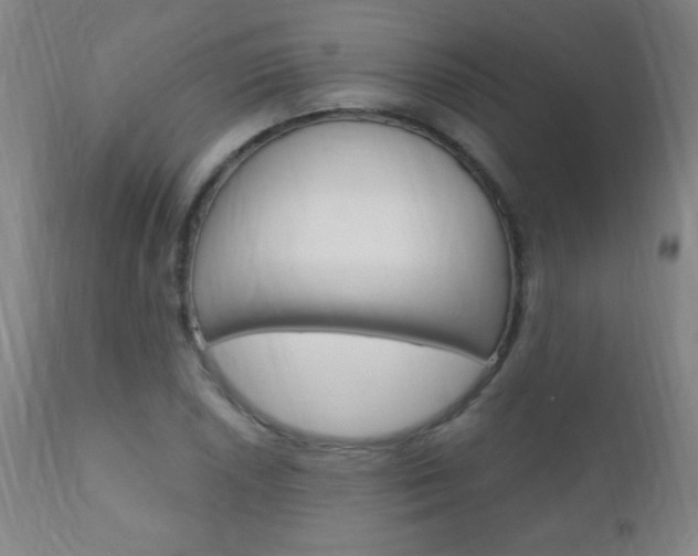 X0000110941026200906191045