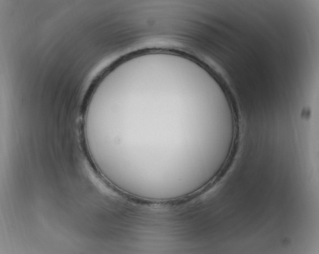 X0000110941029200906191045
