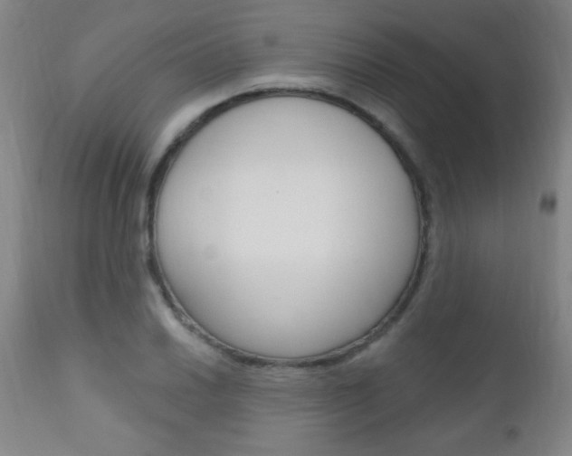 X0000110941030200906191045