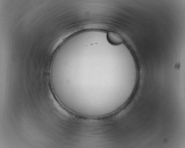 X0000110941033200906191045