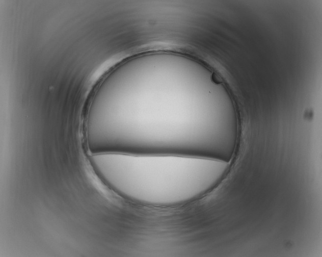 X0000110941034200906191045