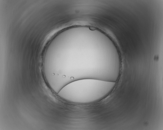 X0000110941035200906191045