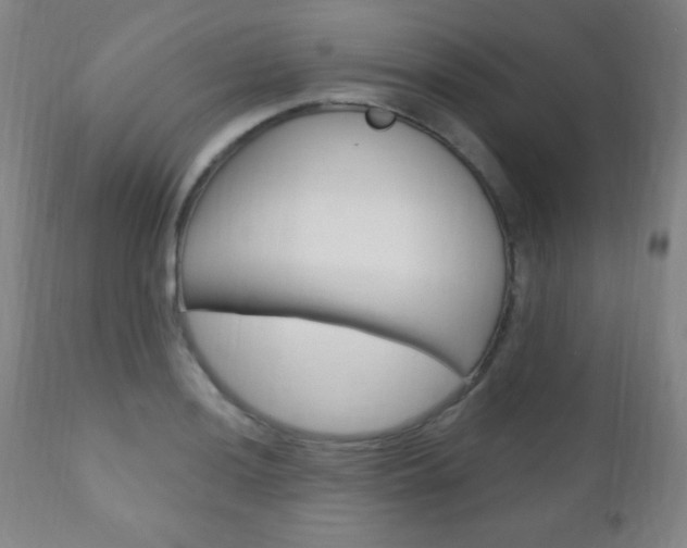 X0000110941036200906191045