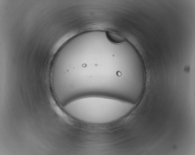 X0000110941042200906191045