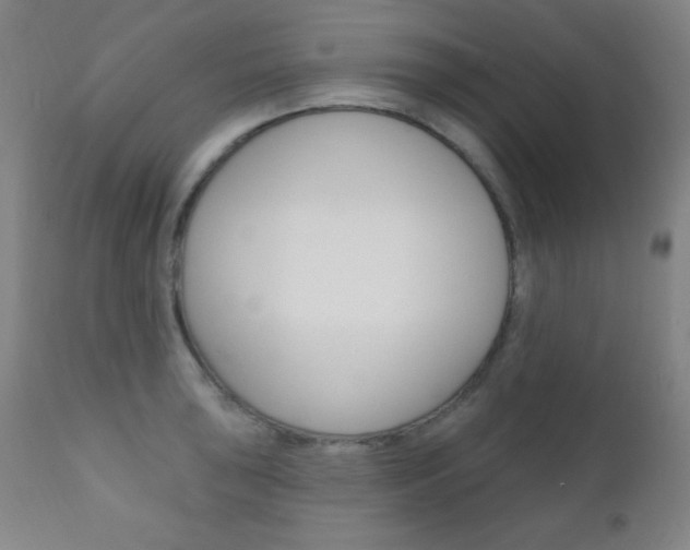 X0000110941043200906191045