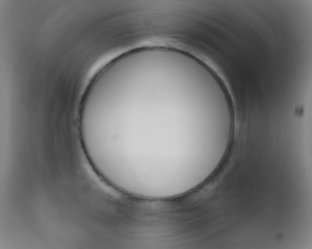 X0000110941045200906191045