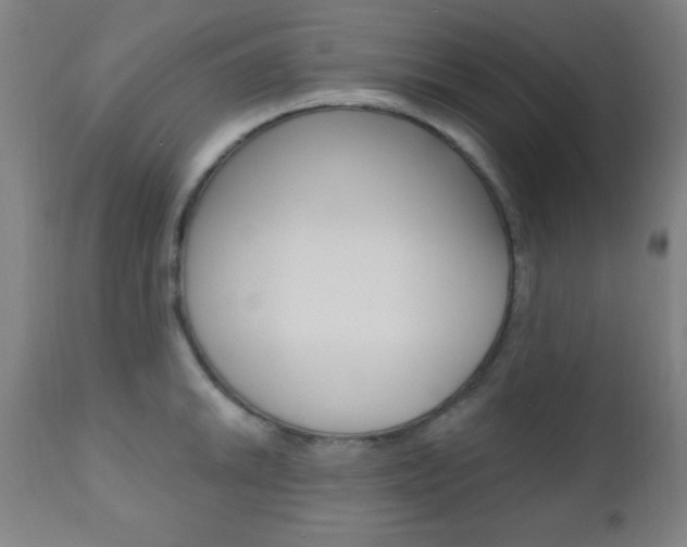 X0000110941046200906191045