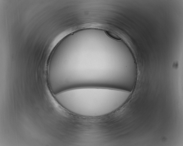 X0000110941050200906191046