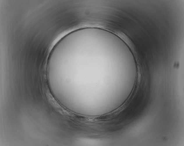 X0000110941052200906191046