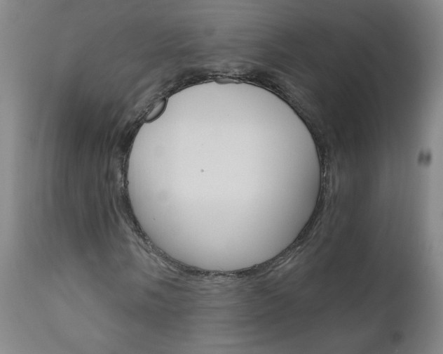 X0000110941058200906191045