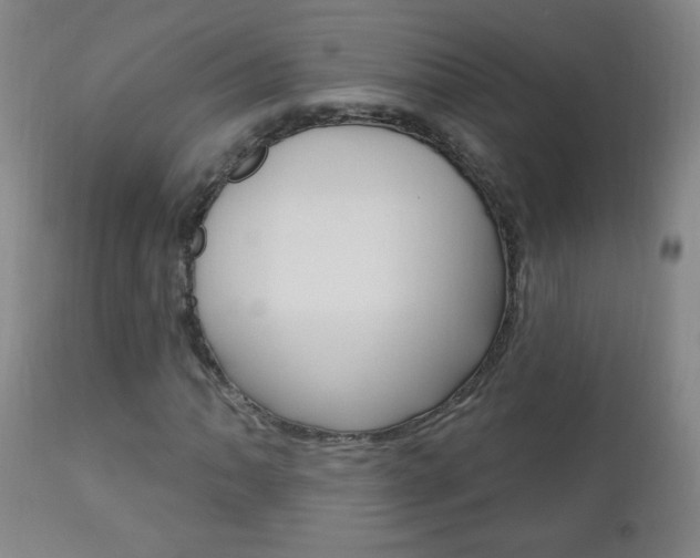 X0000110941062200906191045