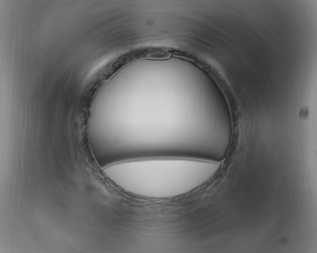 X0000110941064200906191045