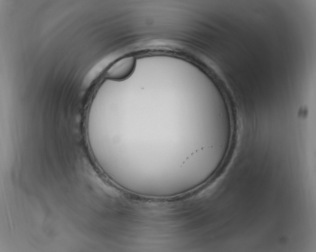 X0000110941066200906191044