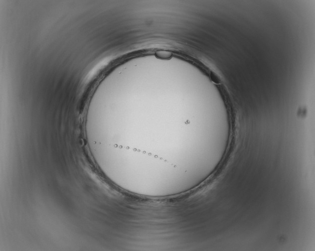 X0000110941067200906191044