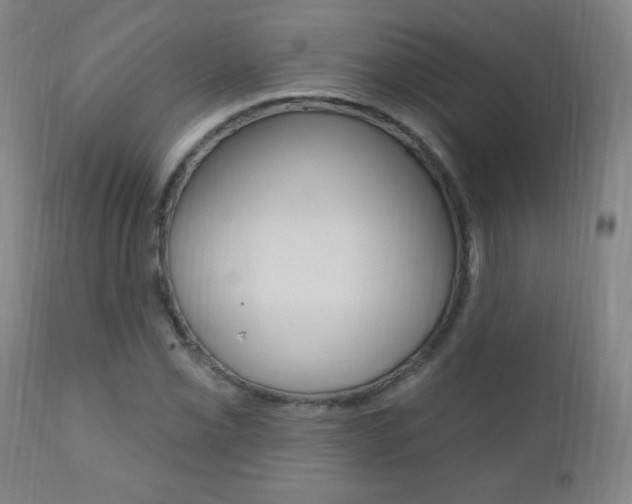 X0000110941069200906191044