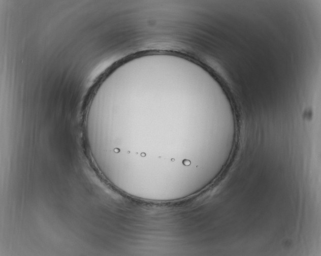 X0000110941071200906191044
