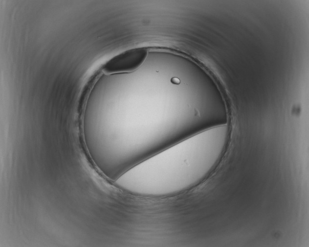 X0000110941072200906191044