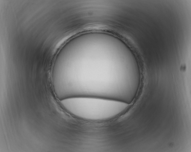 X0000110941073200906191044