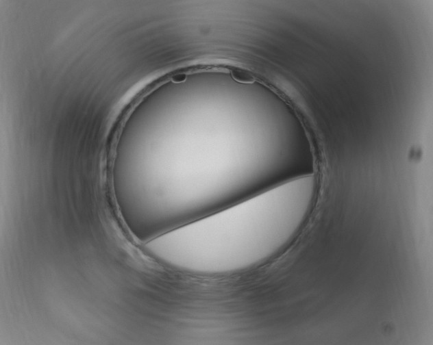 X0000110941076200906191044