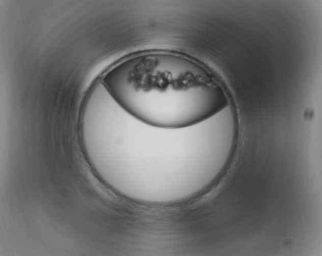 X0000110941077200906191044
