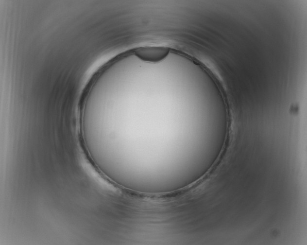 X0000110941080200906191044