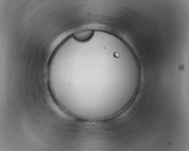 X0000110941082200906191044
