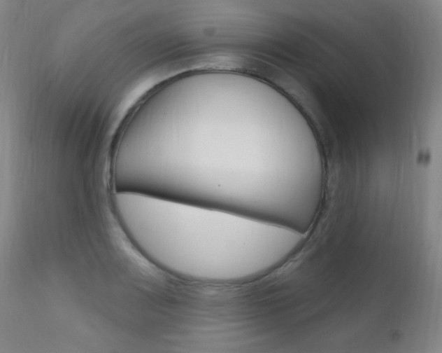 X0000110941083200906191044