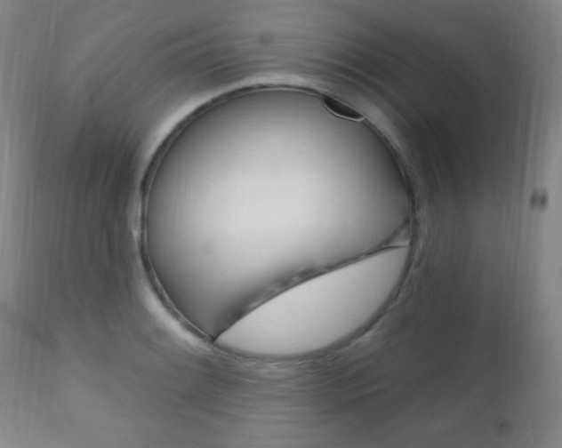 X0000110941084200906191044