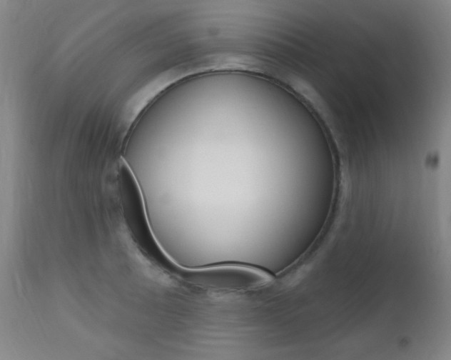 X0000110941089200906191044