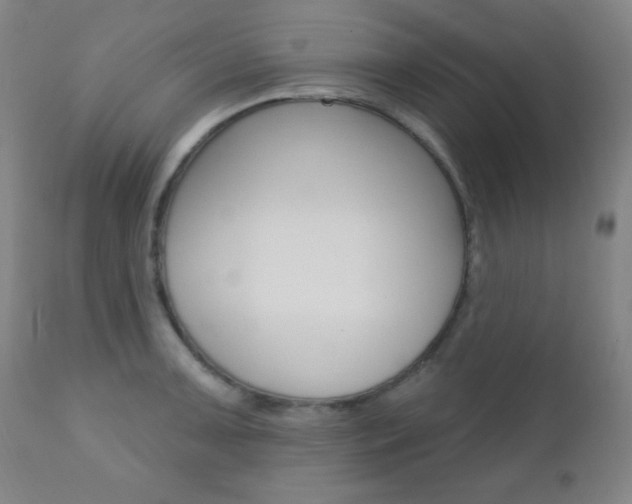 X0000110941091200906191044