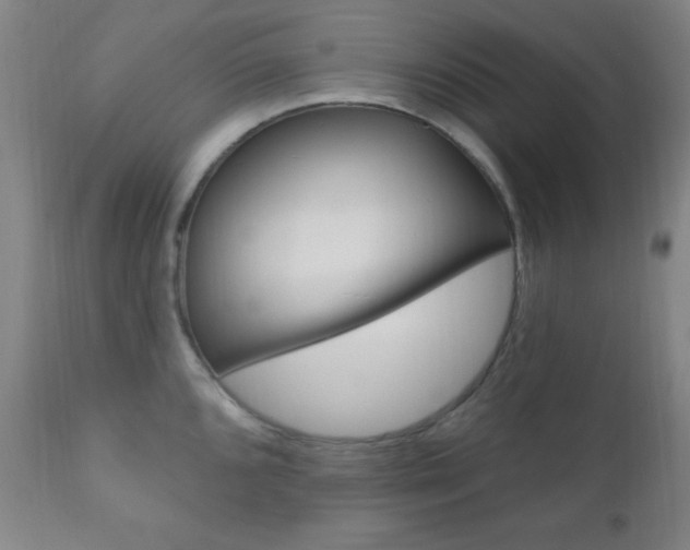 X0000110941096200906191044