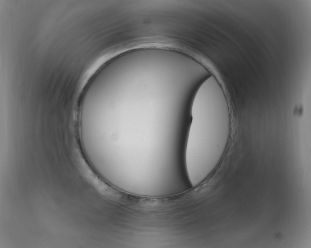 X0000110941099200906191044