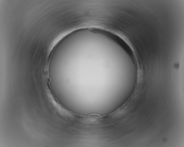 X0000110941101200906191044