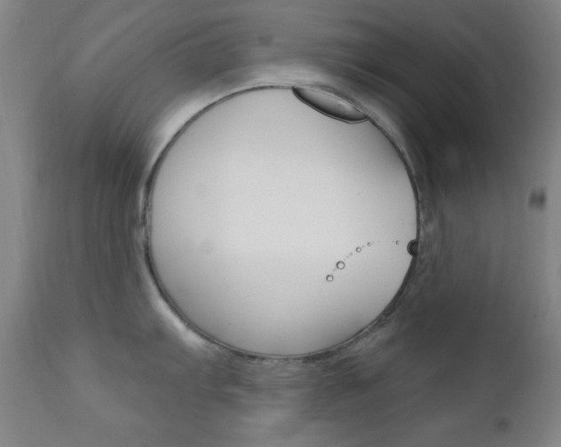 X0000110941103200906191044