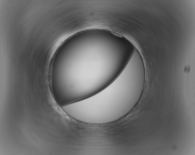 X0000110941104200906191044