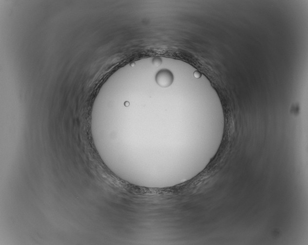 X0000110941105200906191043