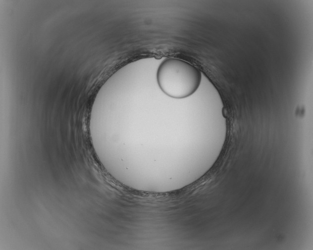 X0000110941106200906191043