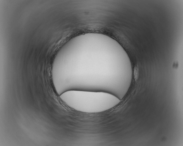 X0000110941107200906191043