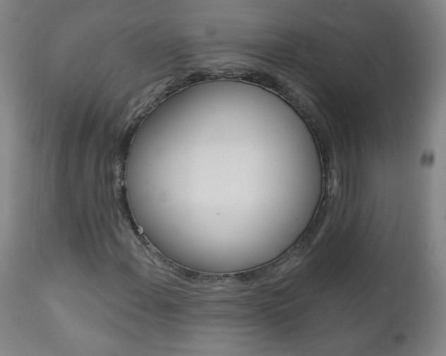 X0000110941108200906191043