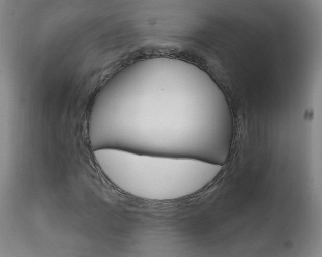 X0000110941109200906191043