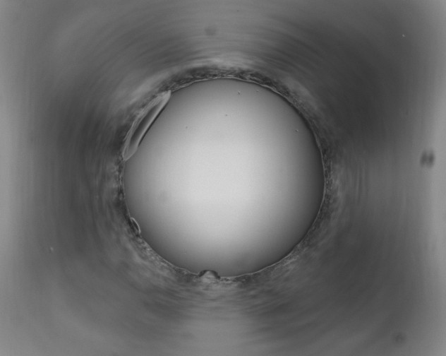 X0000110941110200906191043
