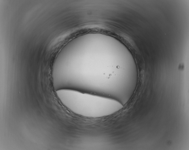 X0000110941111200906191043
