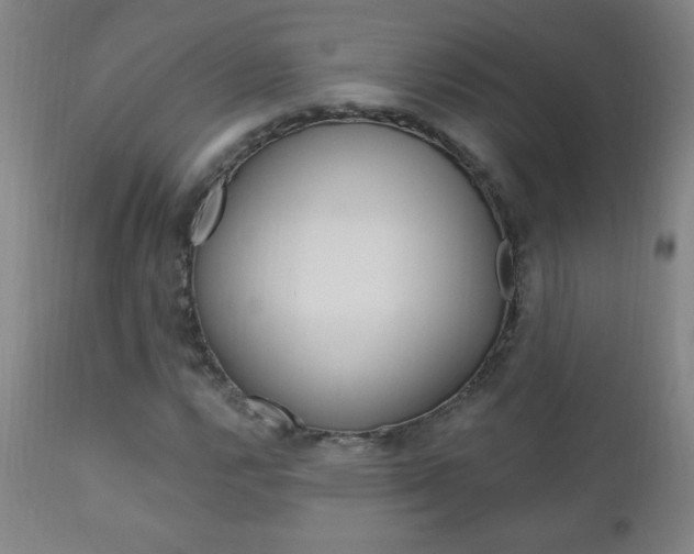 X0000110941112200906191043