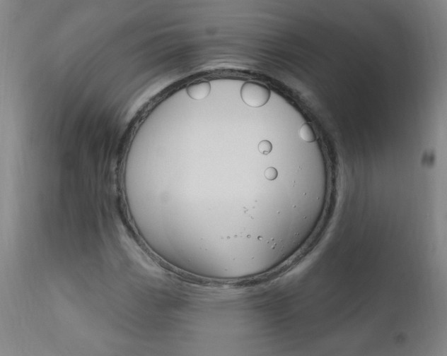 X0000110941113200906191043