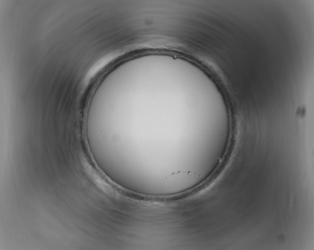 X0000110941114200906191043