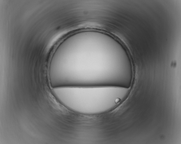 X0000110941115200906191043
