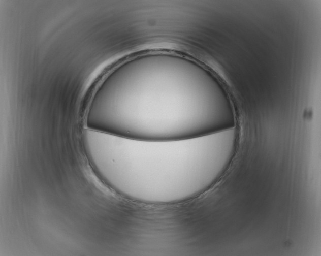 X0000110941116200906191043